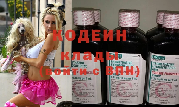 ПСИЛОЦИБИНОВЫЕ ГРИБЫ Гусь-Хрустальный