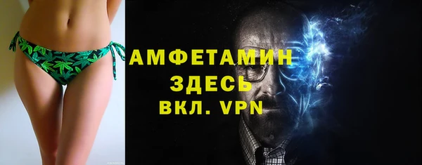 ПСИЛОЦИБИНОВЫЕ ГРИБЫ Гусь-Хрустальный