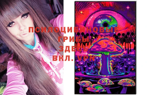 синтетический гашиш Гусиноозёрск