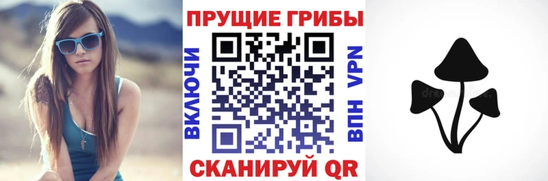 Купить закладки  Озёры  Галлюциногенные грибы GOLDEN TEACHER 